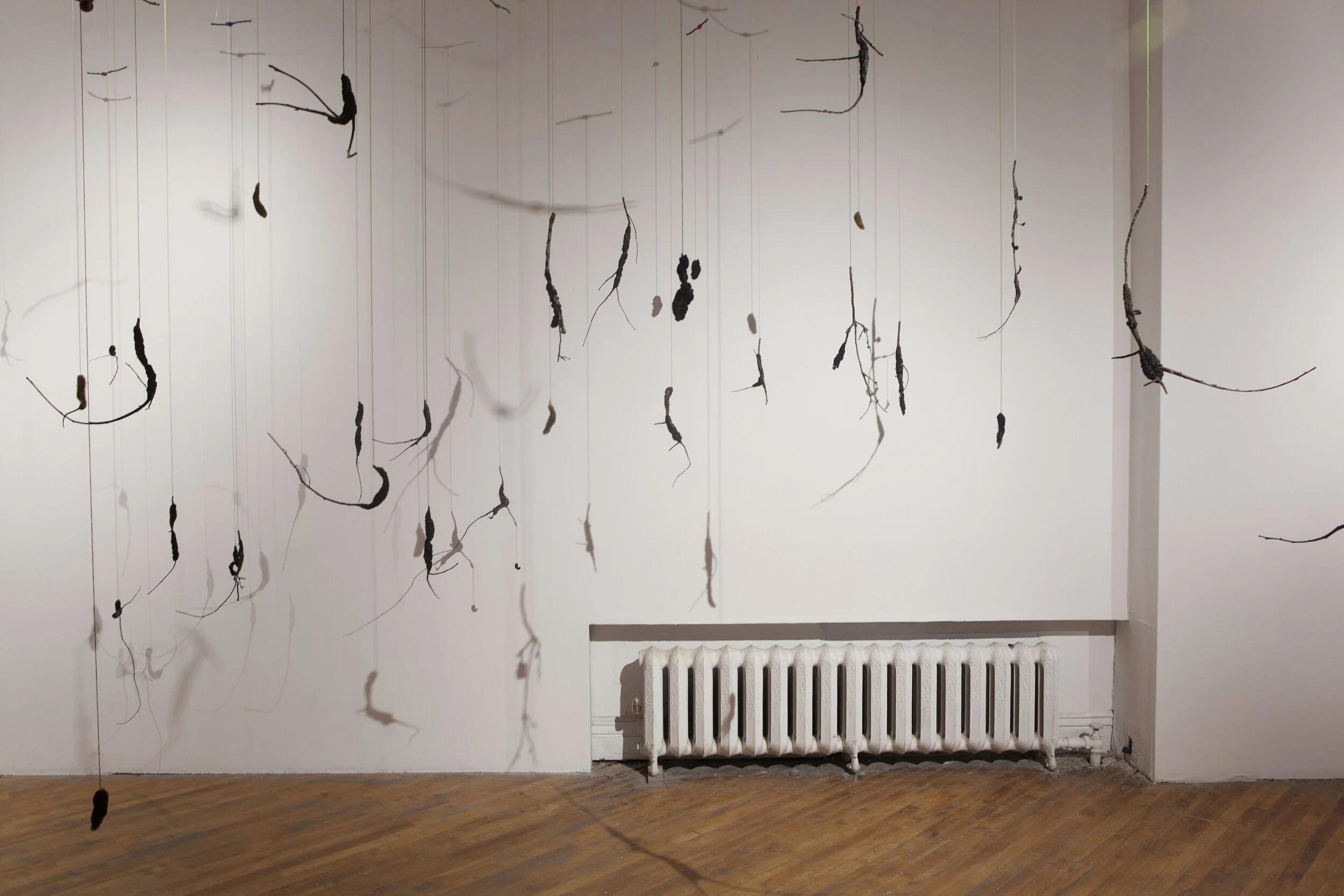 The Forest, 2019 