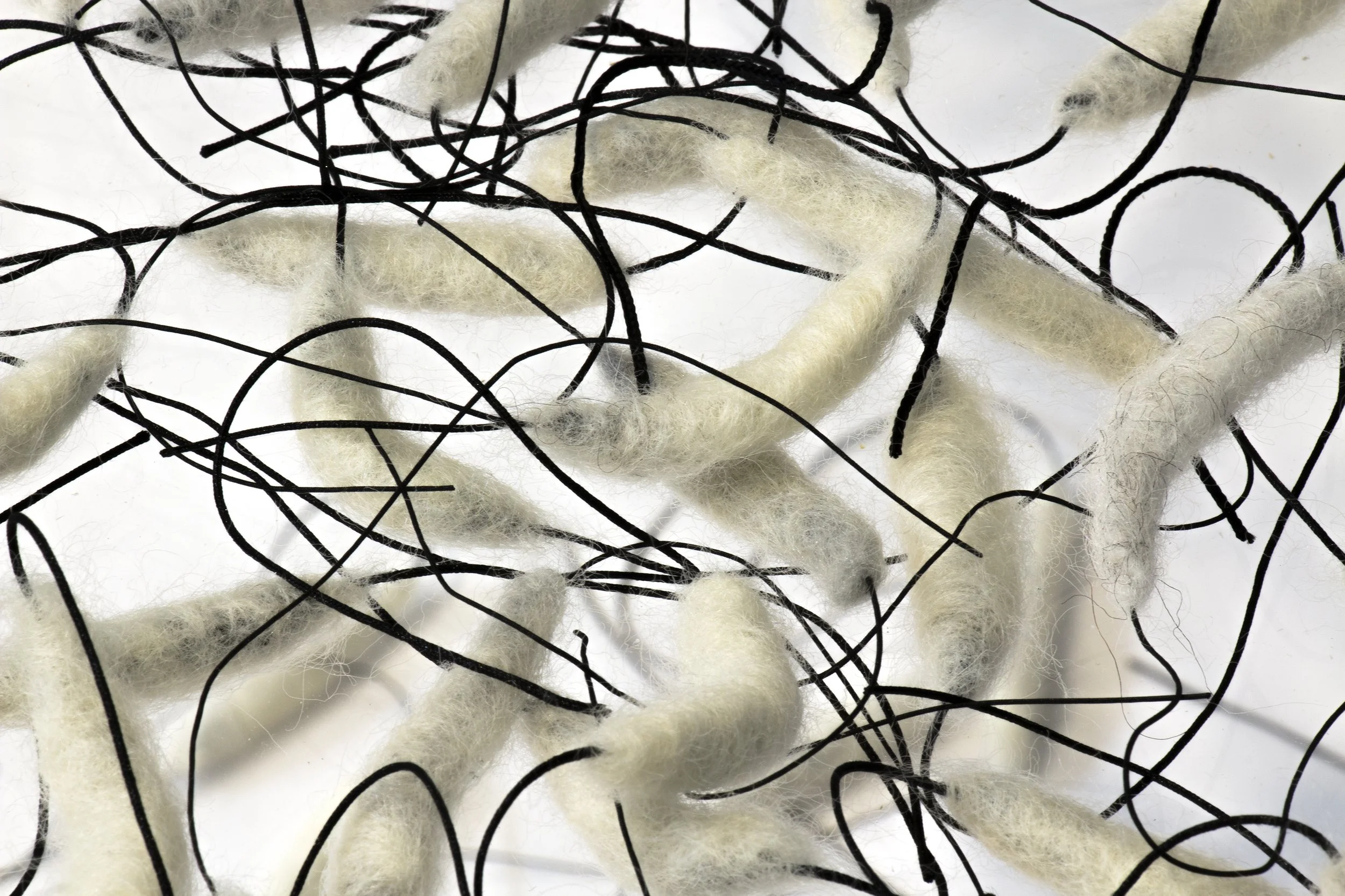   Vivarium Migration,  detail    