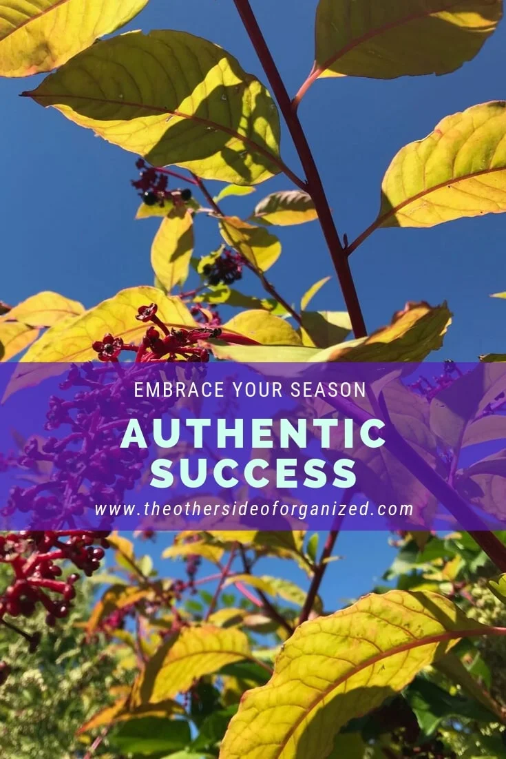 What Will Your Season of Authentic Success Look Like?