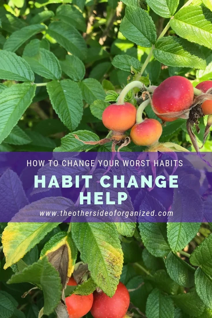Practical Help That Will Change Your Worst Habits For the Better