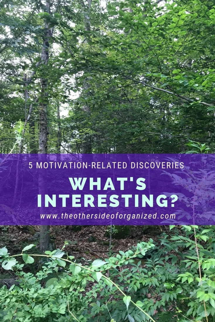 What Are Today's Interesting Finds? - v24