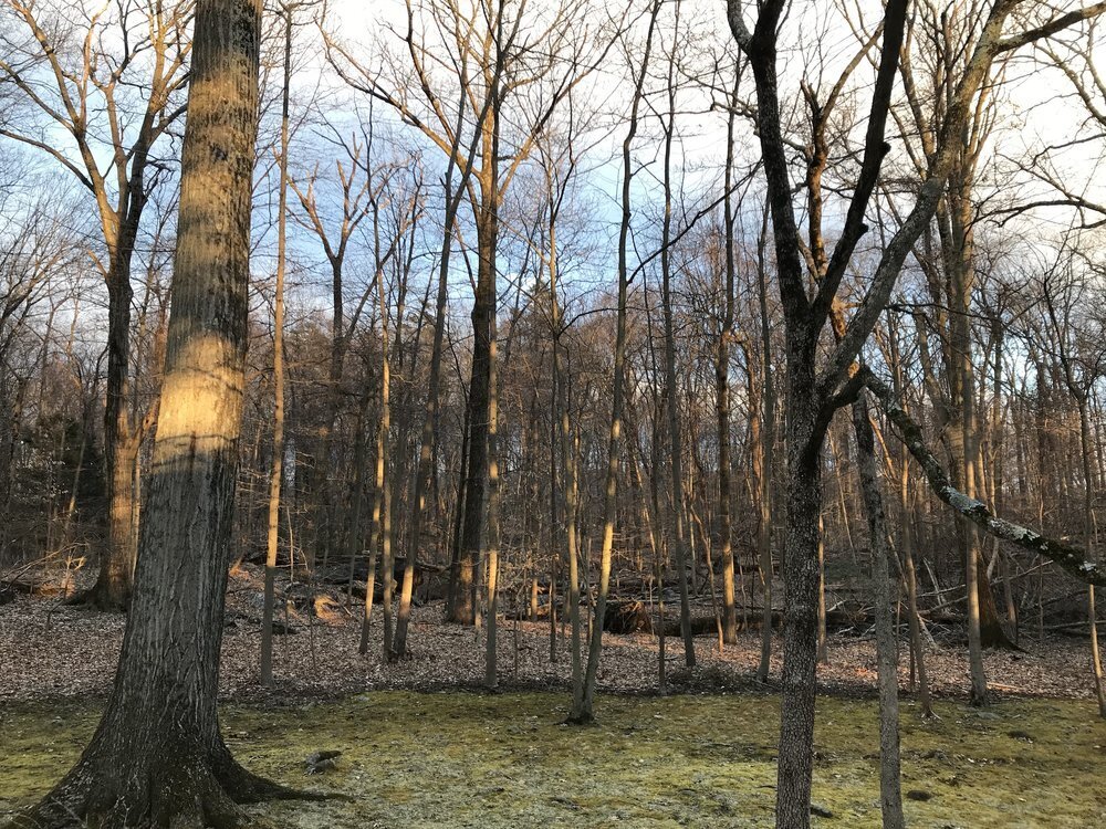 Spring Encourages Seeds of Change