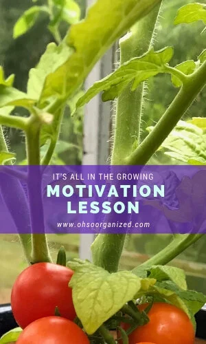 Big Lesson I Learned How Motivation Is In The Growing