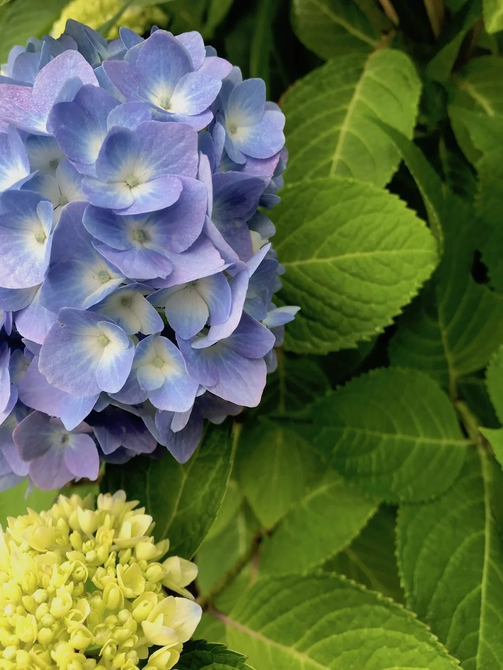 10 Most Common Motivation Challenges &amp; Easy Solutions