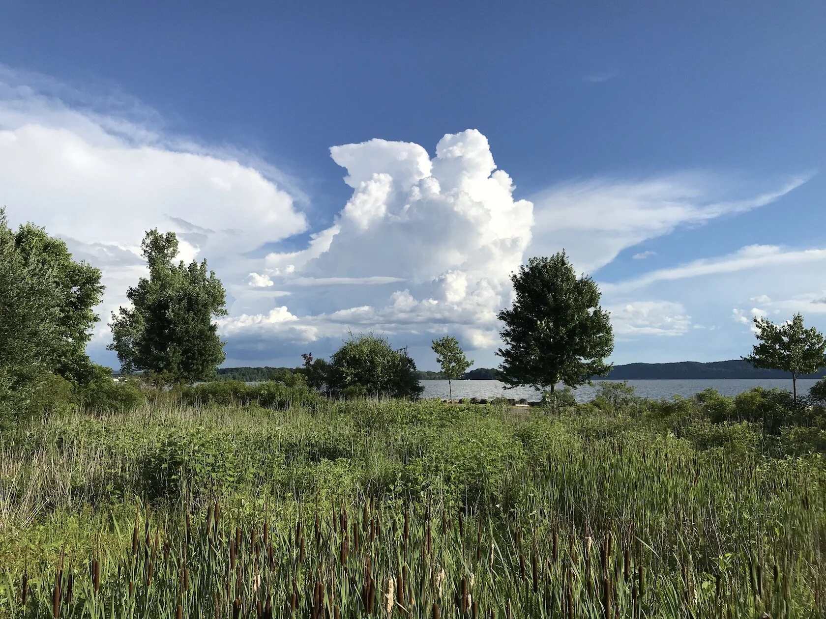 A Changing Landscape