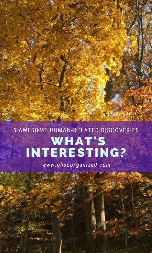What Are Today's Interesting Finds? - v29