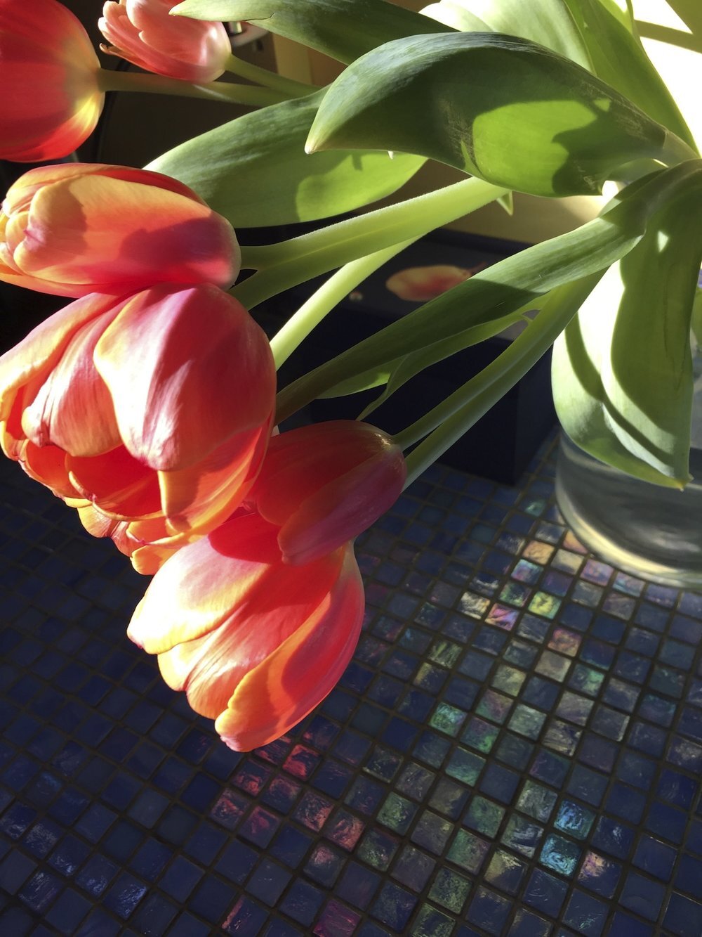 What Are Today's Interesting Finds? - v5