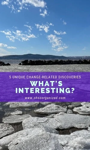 What Are Today's Interesting Finds? - v30