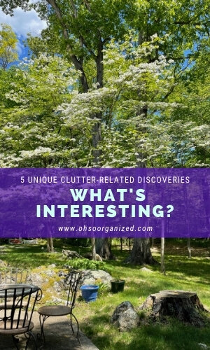 What Are Today’s Interesting Clutter-Related Finds? - v31