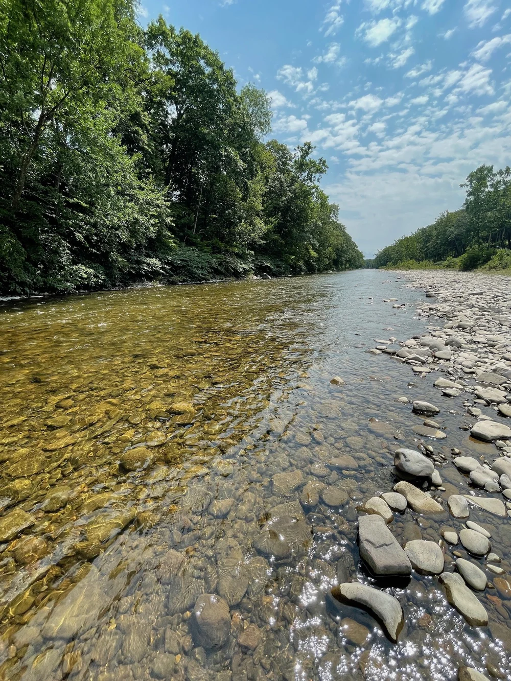Catskill Creek