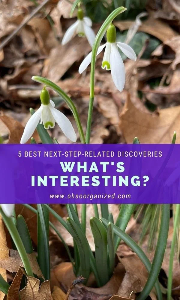 Here Are Today's Interesting, Best Next Step-Related Discoveries - v34