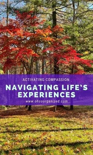 How to Have Compassion Navigating Life's Every Day Amazing, Awful, and Ordinary Experiences