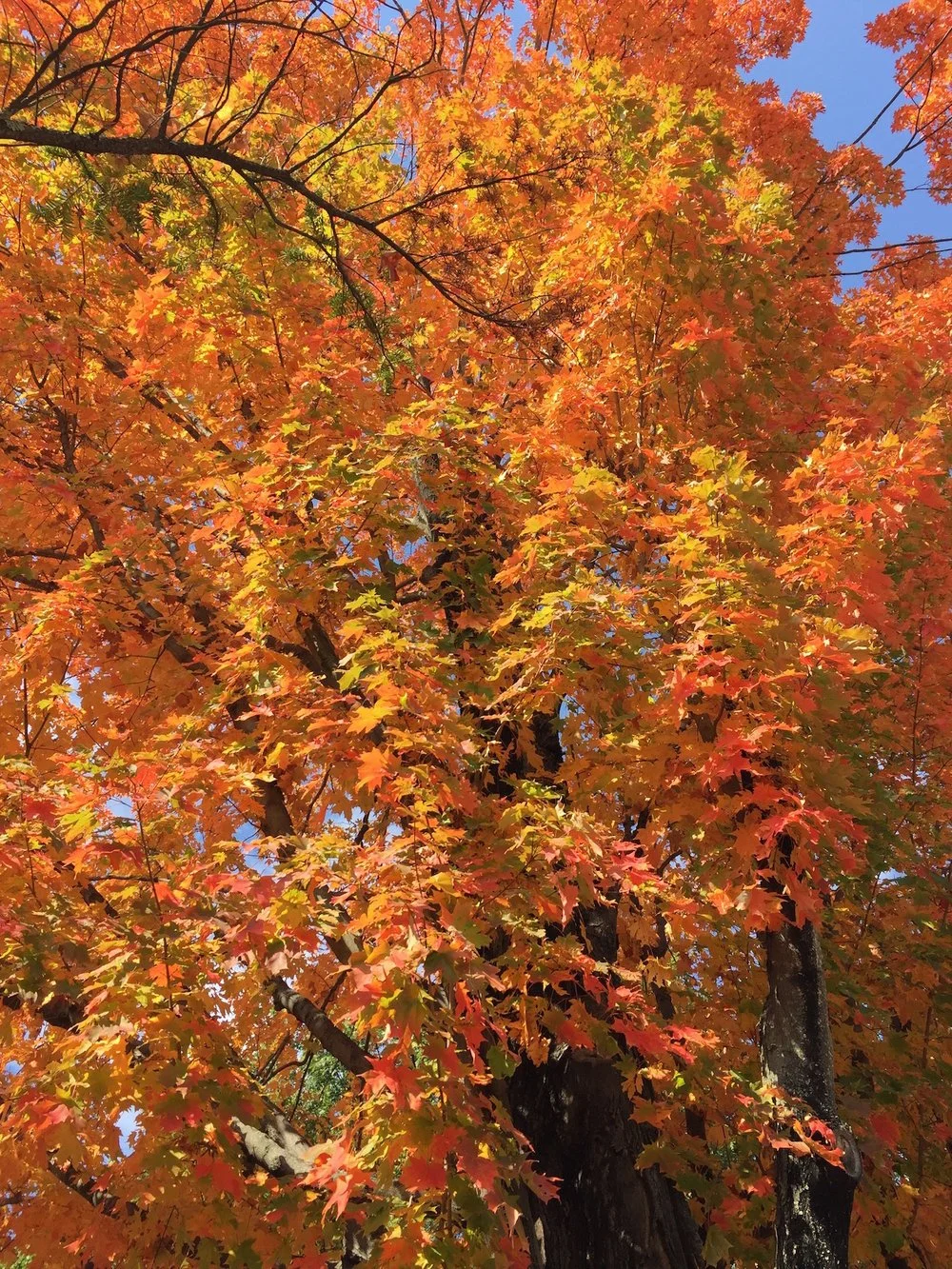 5 Guaranteed Strategies to Help You Make Decisions