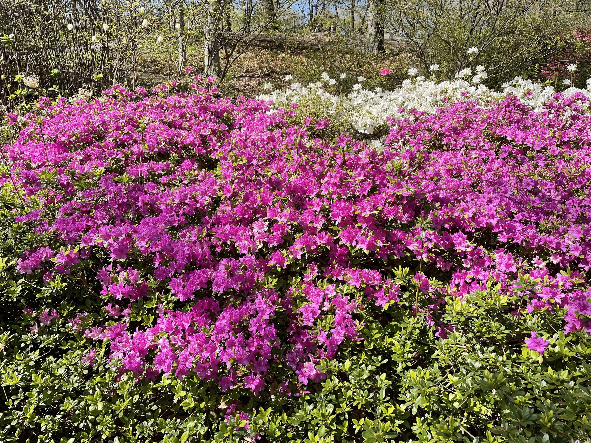 Nurture What Needs Attention