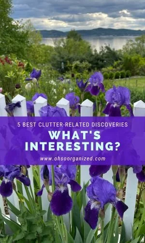 Here Are Today's Most Interesting and Best Clutter Discoveries - v40