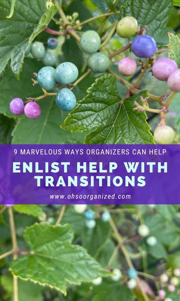 9 Marvelous Ways Virtual Professional Organizers Can Help With Transitions