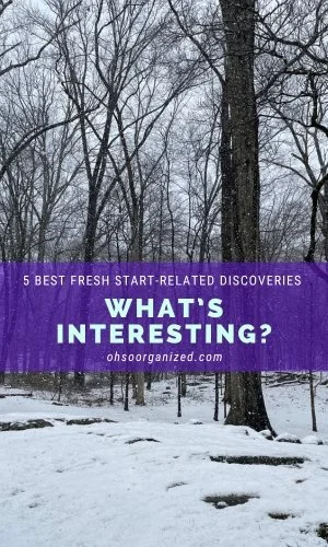 Here Are Today's Most Interesting and Best Fresh Start Discoveries - v43