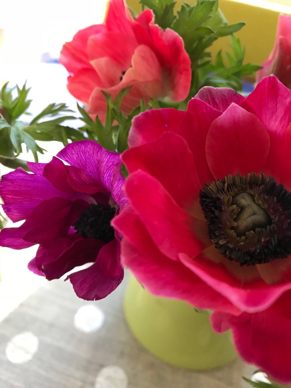 How to Prime the Pump to Make Great Change