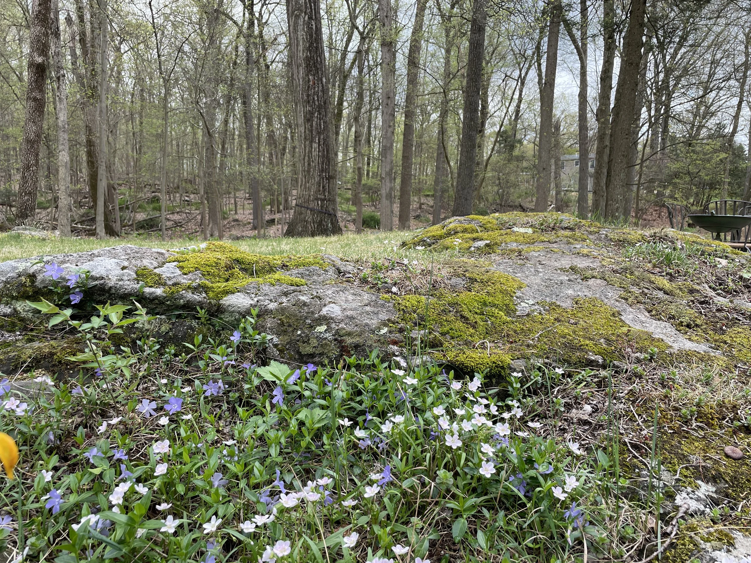 Spring Possibilities Abound