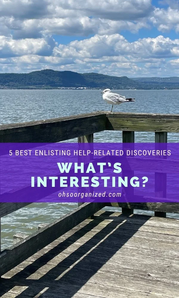 Here Are Today's Interesting and Best Enlisting Help Discoveries - v46