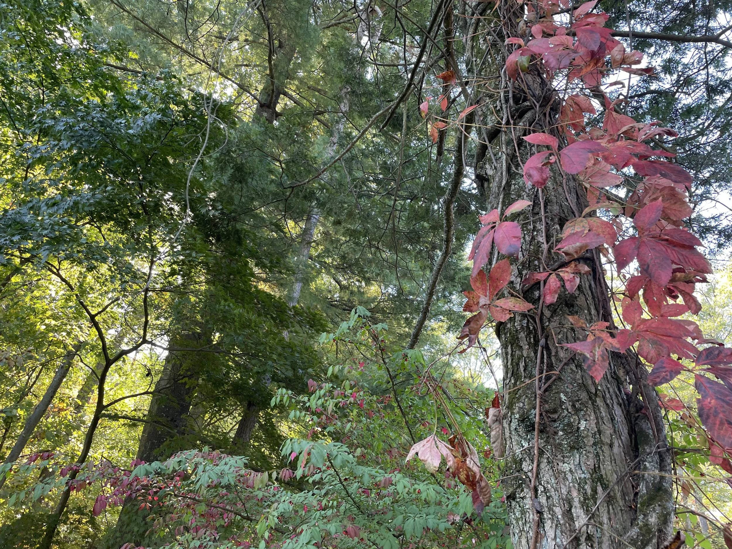 Fall is a Visceral Season of Change