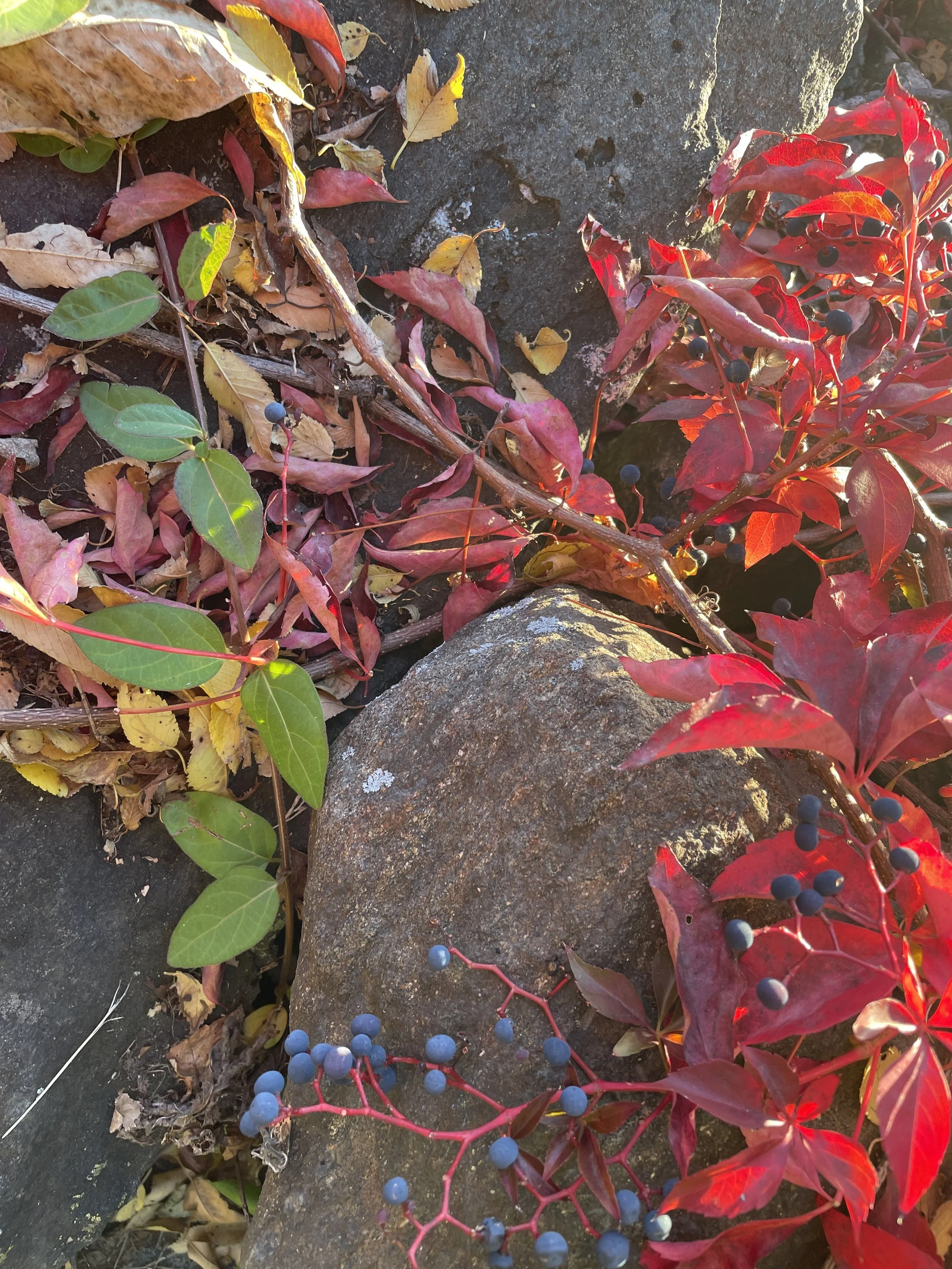 Organizing for Humans