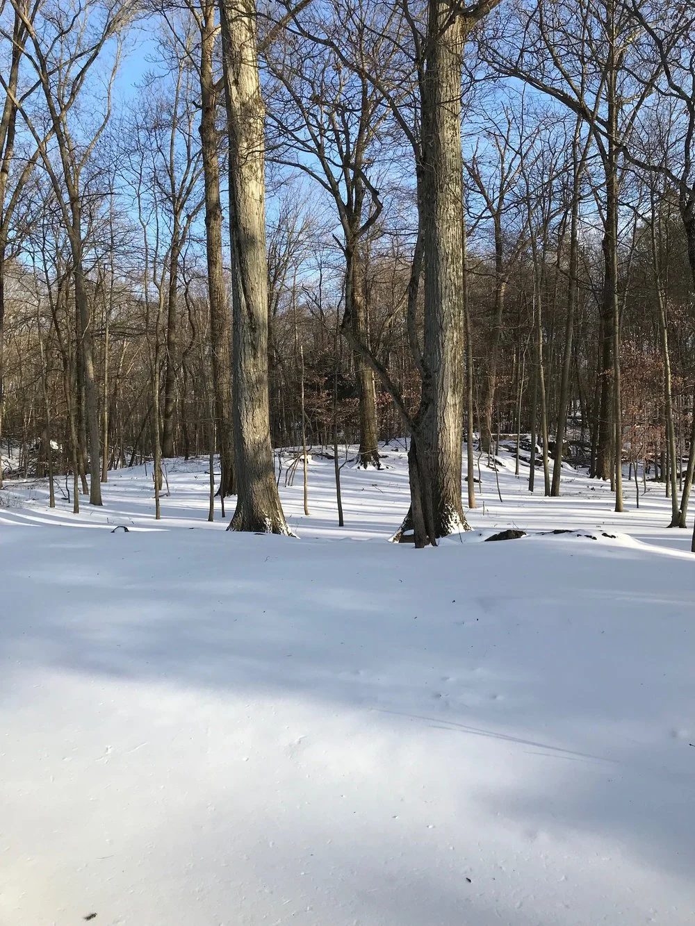 How to Get a Fresh Start Boost from Inbox Zero