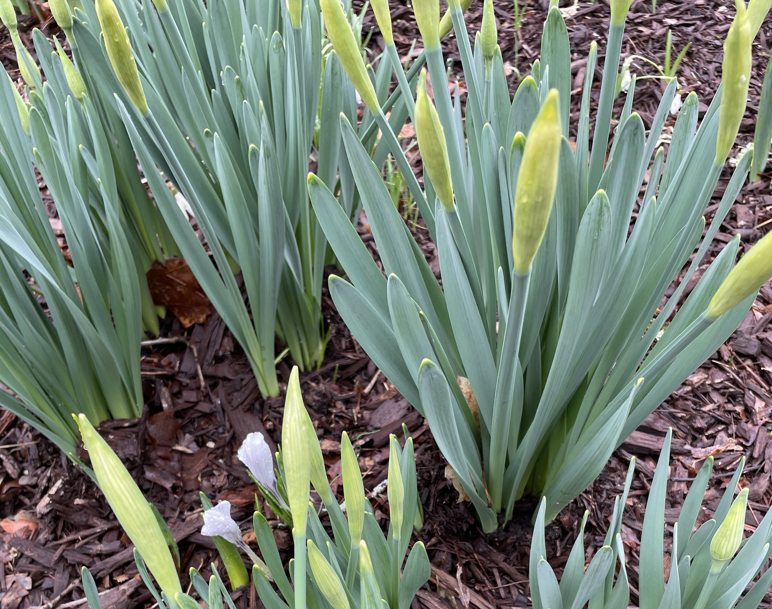 Spring Energy Returns