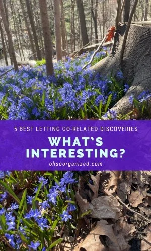 Here Are 5 Most Interesting and Best Letting Go Discoveries - v49