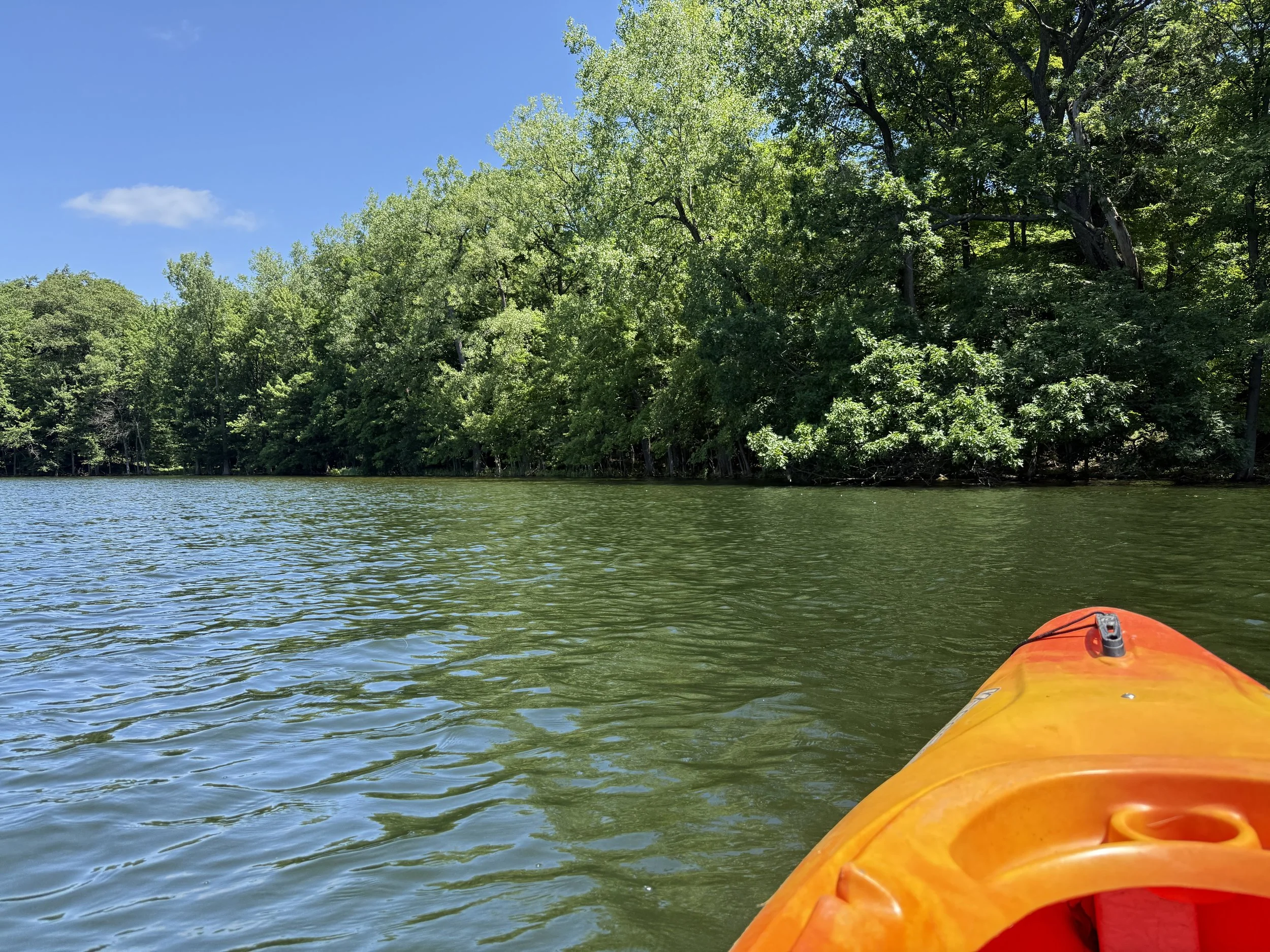 Summer Organizing and Pacing