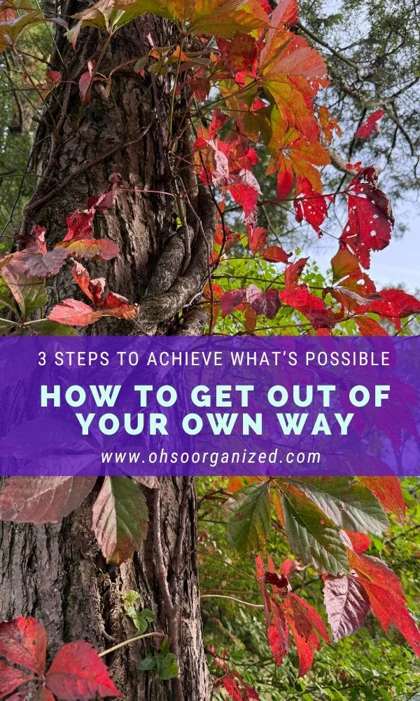 What Becomes Immediately Achievable When You Get Out of Your Own Way?