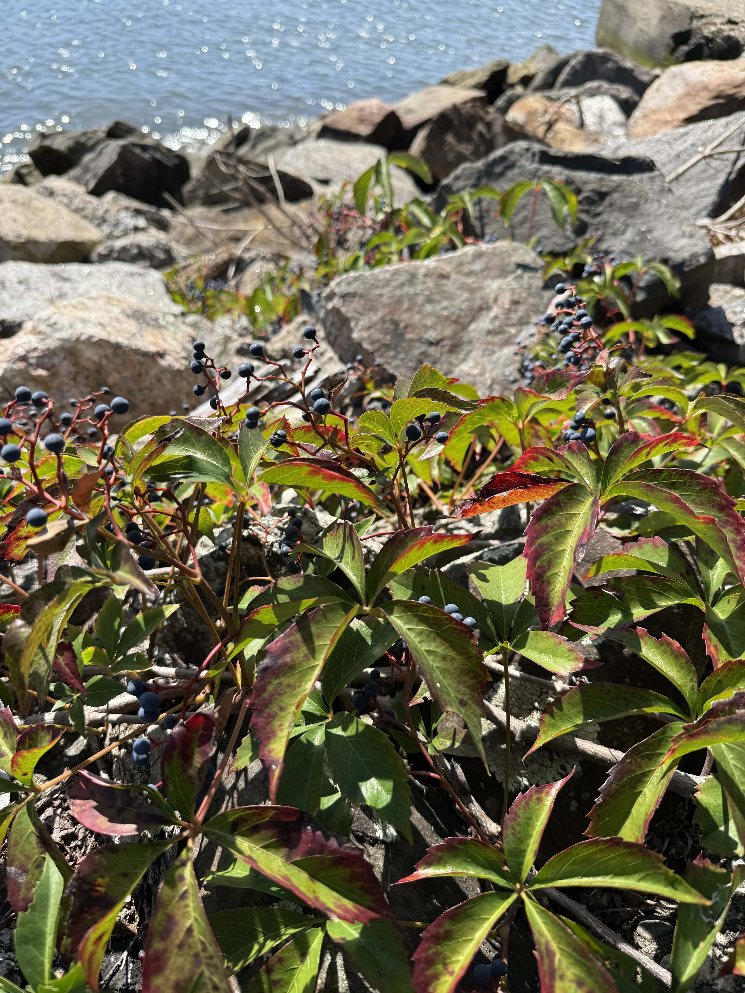 Helpful Possibility Strategies