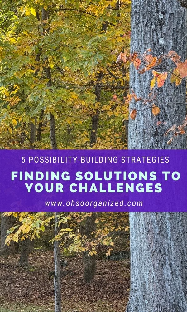 5 Ways to Easily See What's Possible by Finding Solutions to Your Challenges