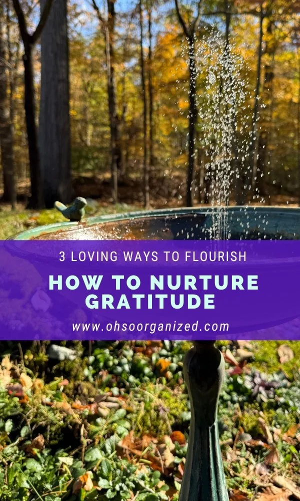 3 Loving Ways to Nurture Gratitude to Help You Flourish