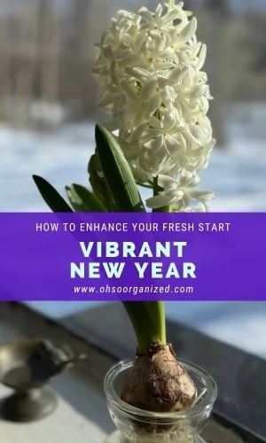 Vibrant  New Year Brings Fresh Starts, Young Blooms, and Welcome Perspectives