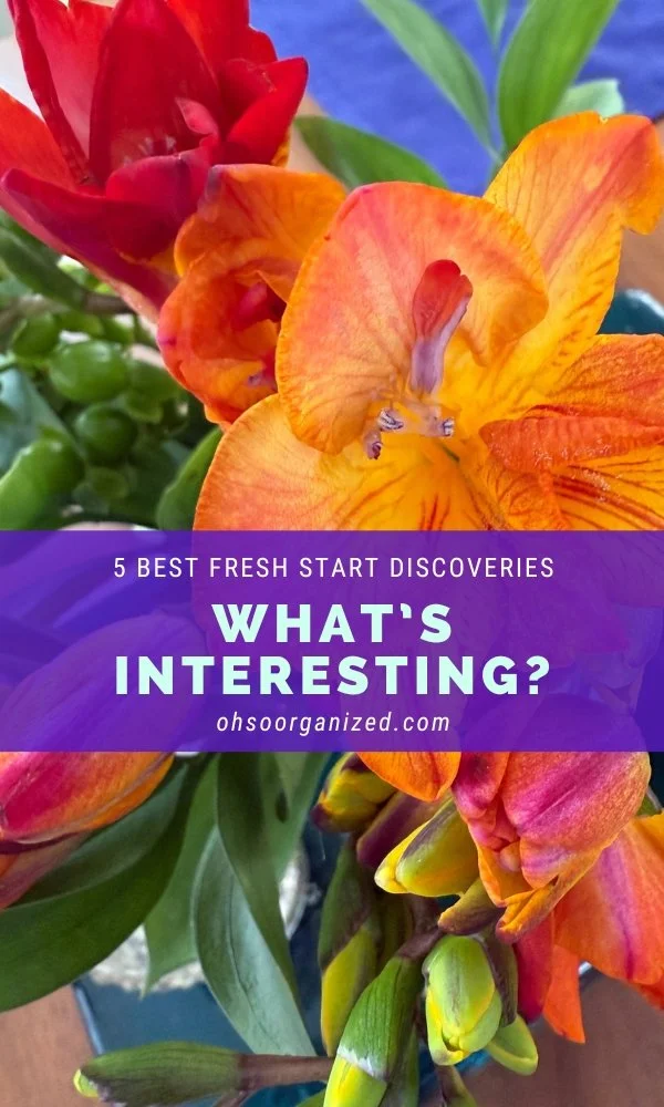 Here Are 5 Most Interesting and Best Fresh Start Discoveries – v53