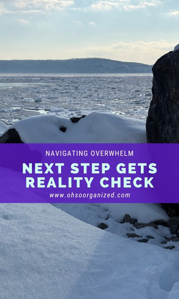 When Does Your Next Step Need a Helpful Reality Check?