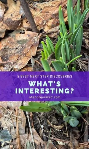 Here Are 5 Most Interesting and Best Next Step Discoveries - v54