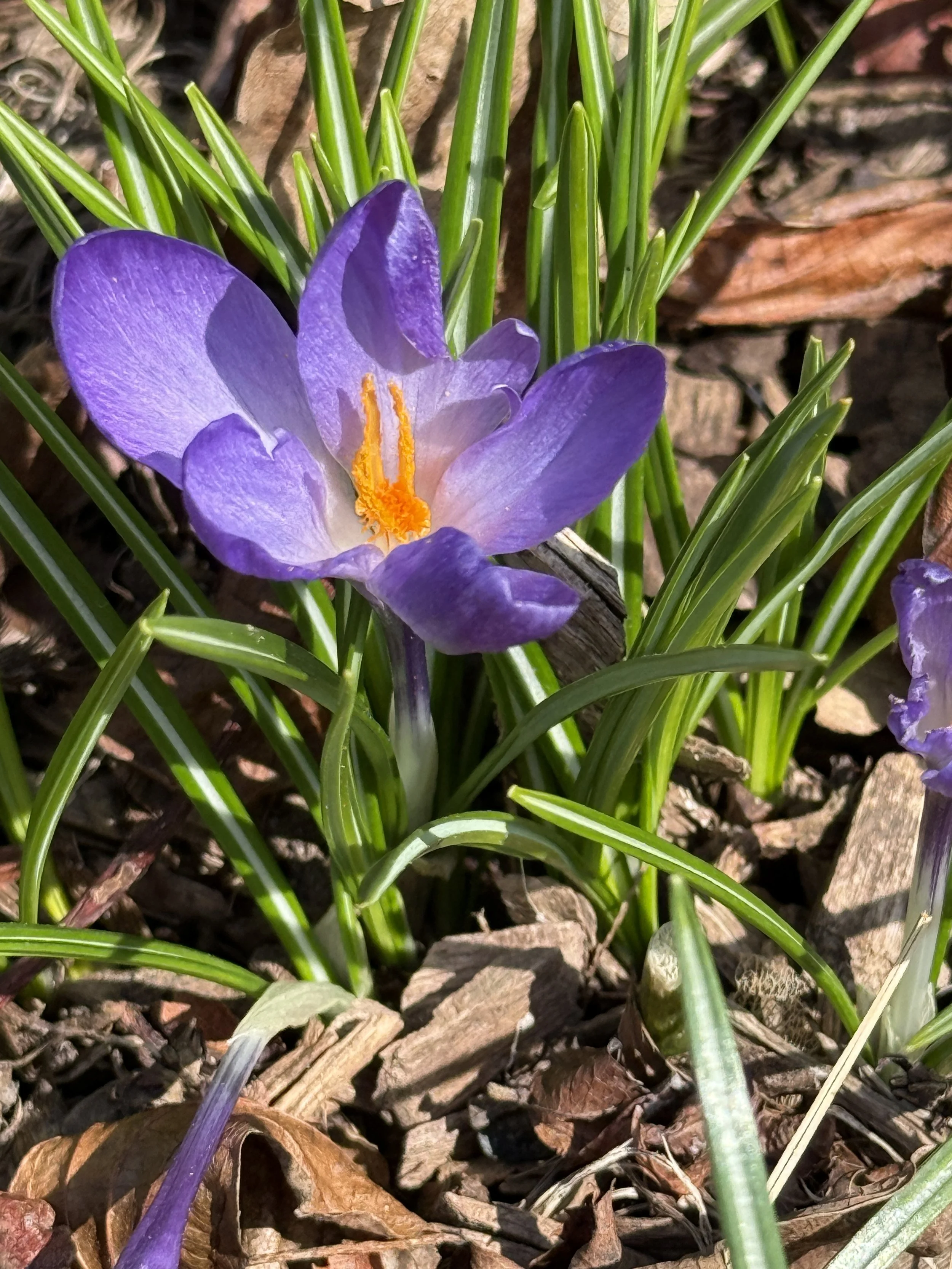 Filling the 'Hopeful' Bucket