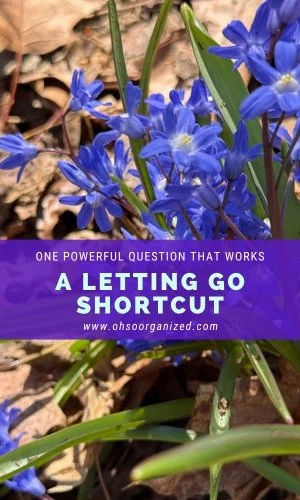 One Powerful Question: A Shortcut to Help You Release and Let Go