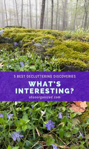 Here Are 5 Most Interesting and Best Decluttering Discoveries - v55