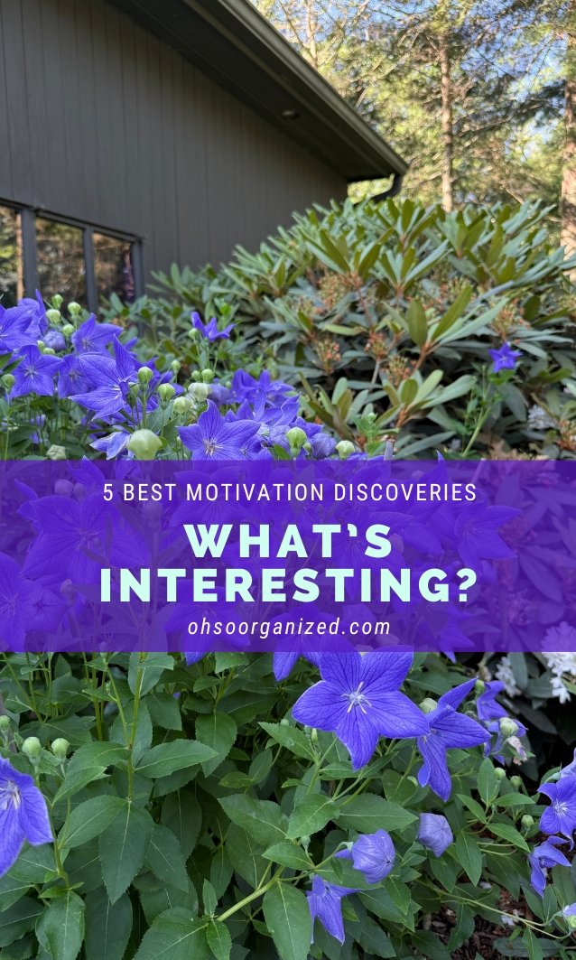 Here Are 5 Most Interesting and Best Motivation Discoveries - v56