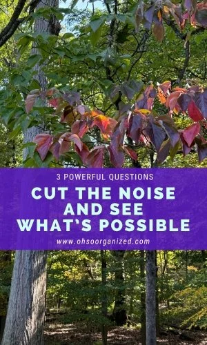3 Powerful Questions to Cut Through the Noise and See What's Possible