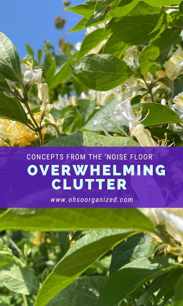 What Kind of Overwhelming 'Noise' Does Your Clutter Actually Make? — Oh