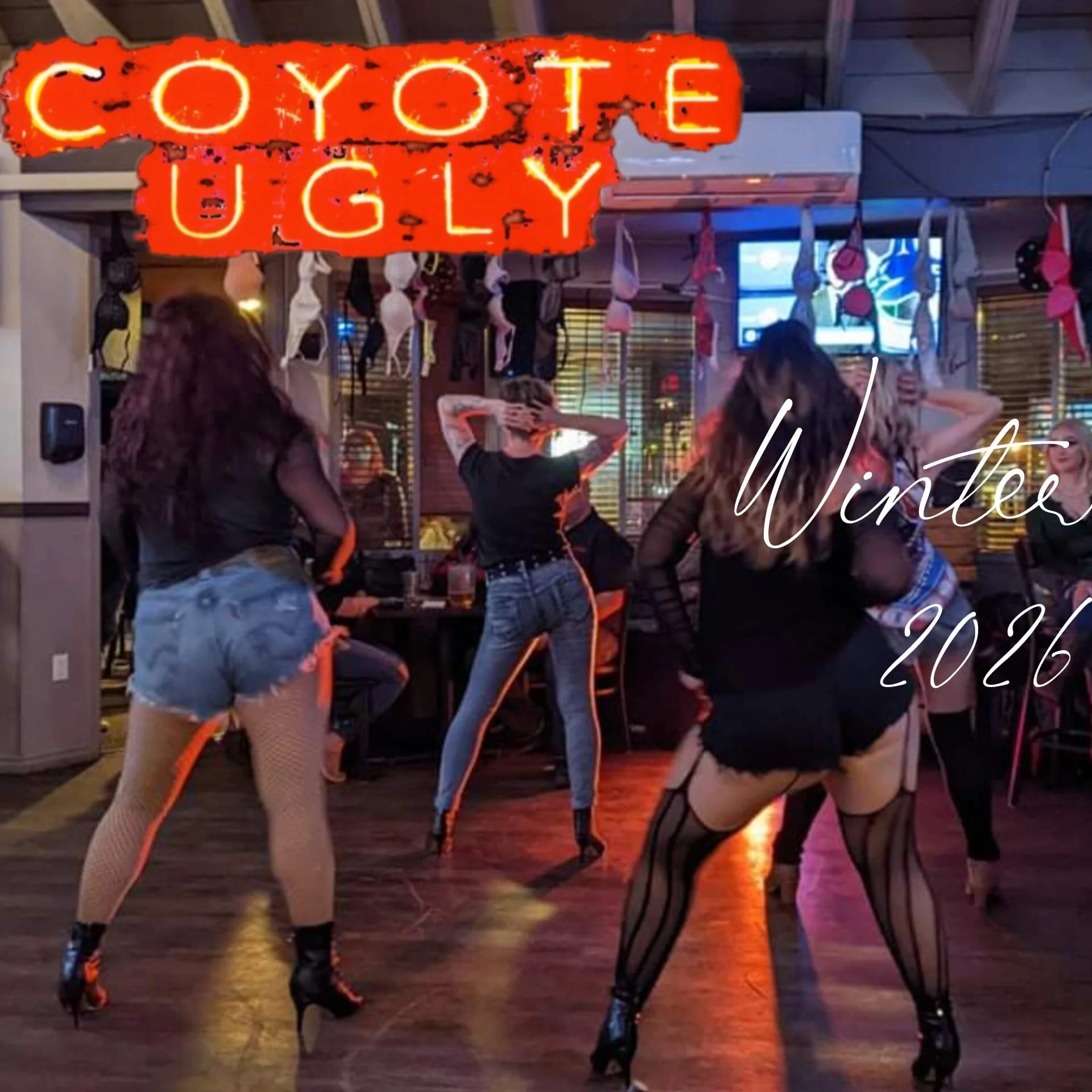 coyote ugly.jpg