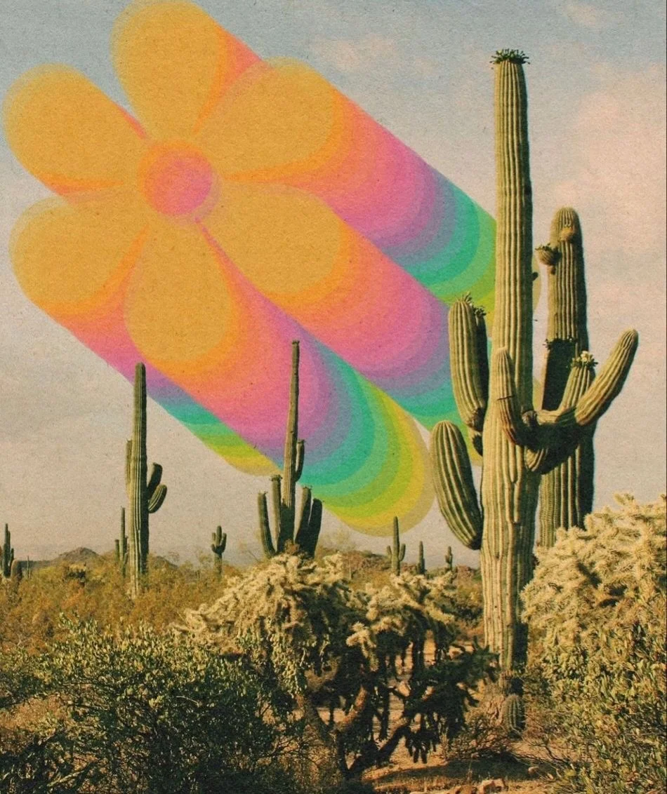 Desert Retreat mood board ✨🌀🪨🌞🪻🧿