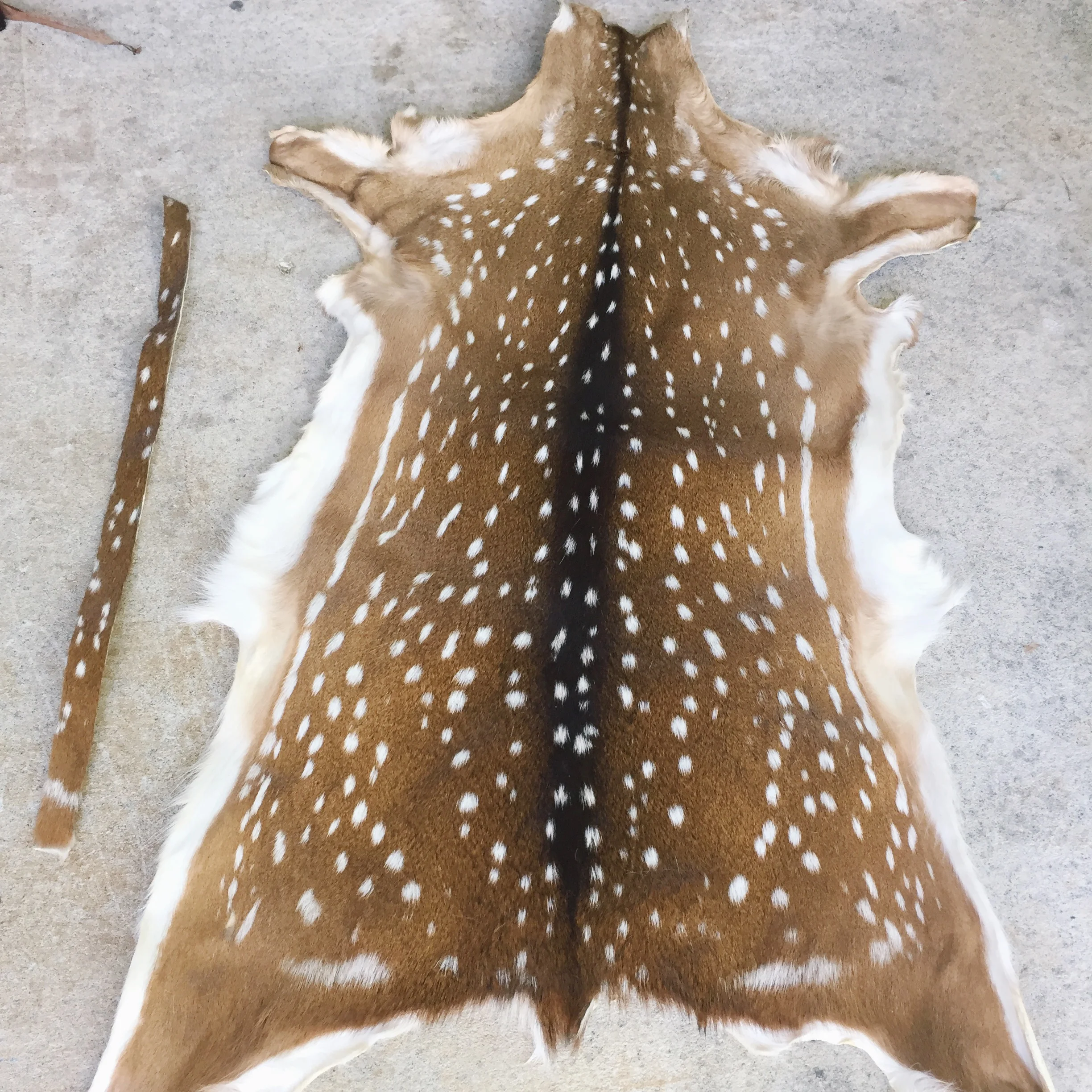 full deer hide
