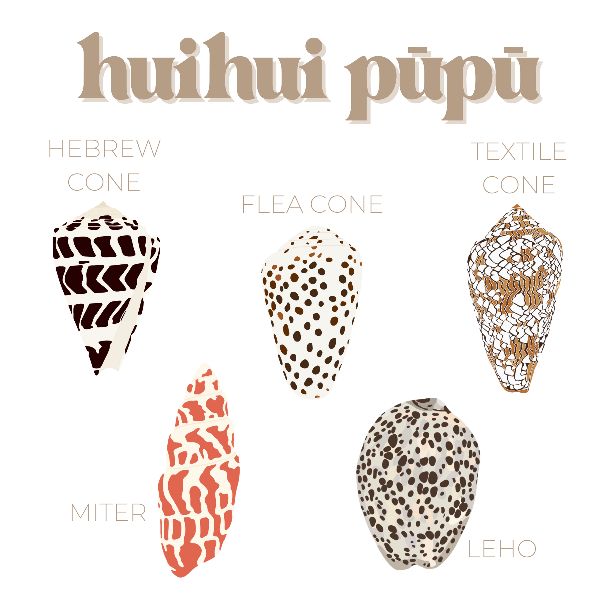huihui pūpū.png