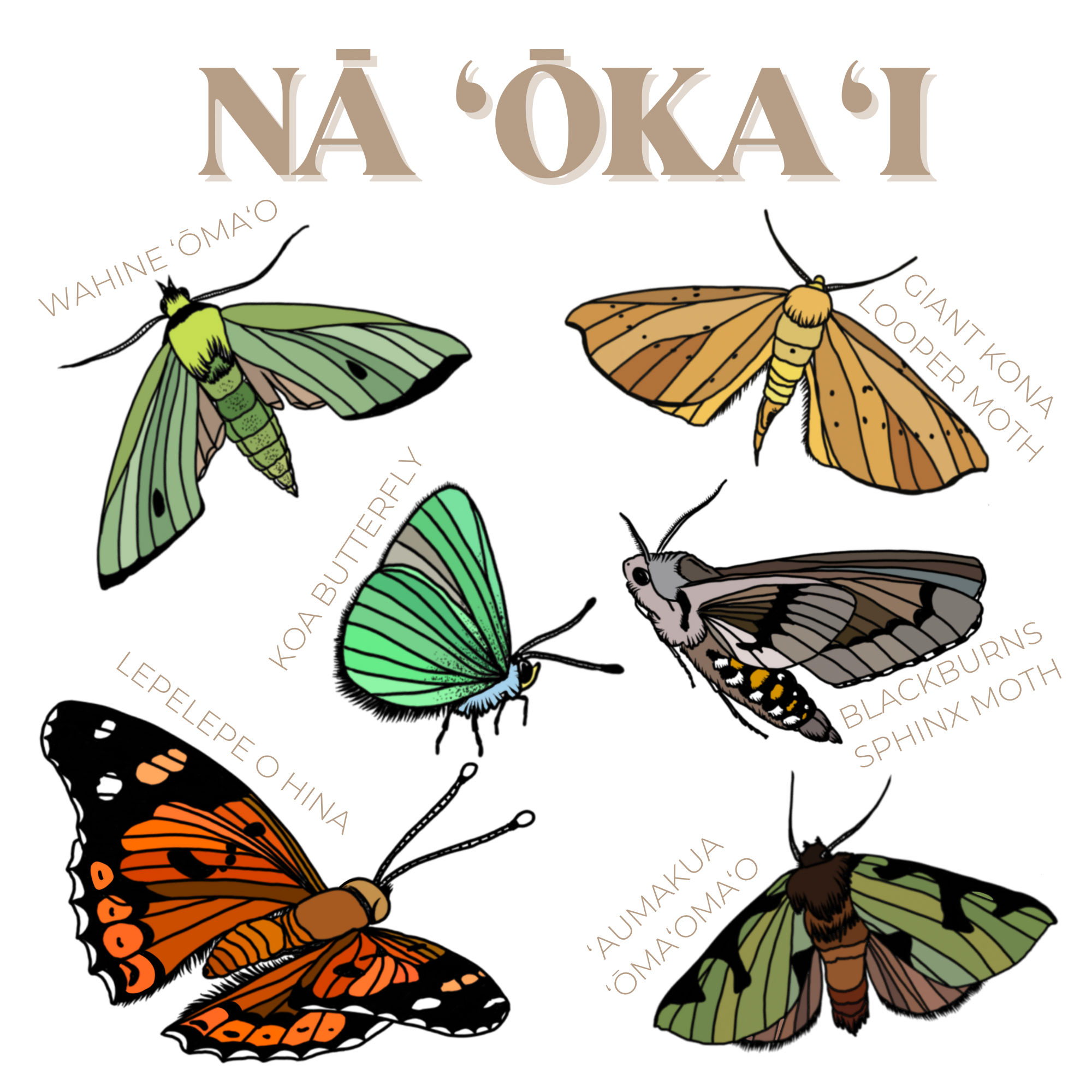 6B011538-2466-4E14-8D2C-A7ADE129D7A4.png