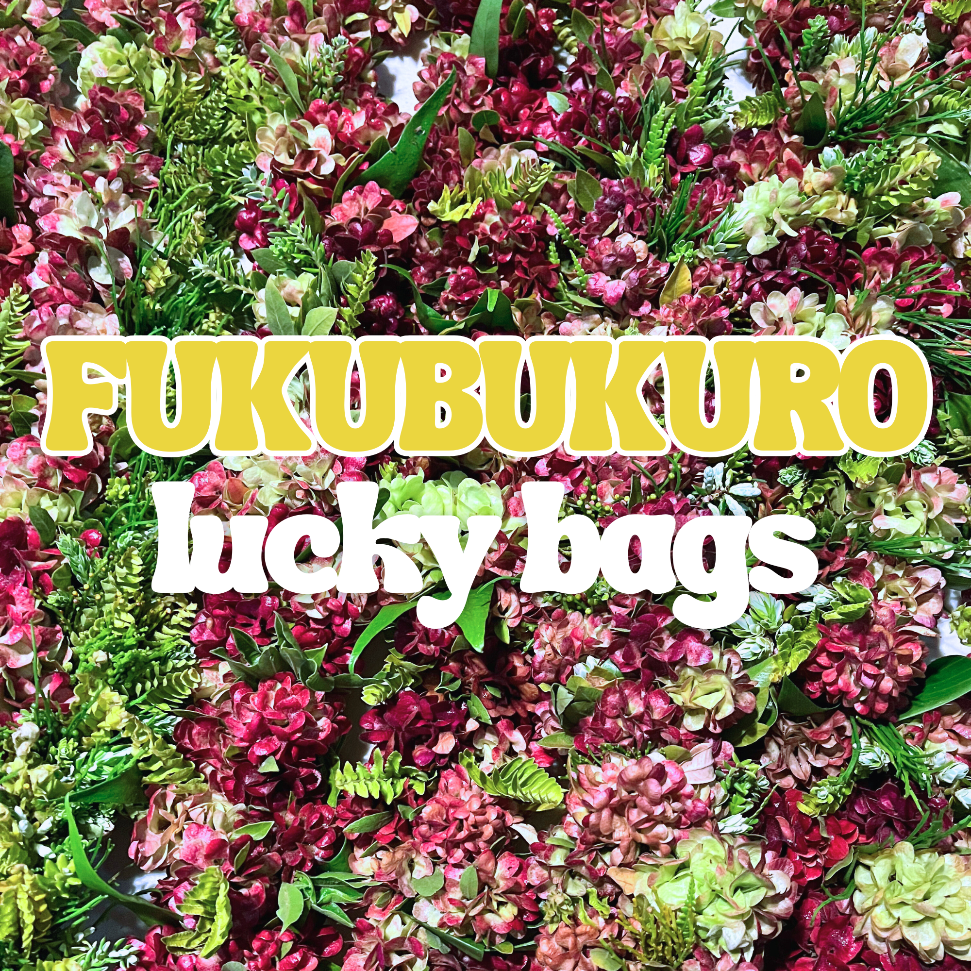 Fukubukuro (10 x 10 in).png